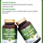 Nondo - Advanced Milk Thistle - 60 Kapsül