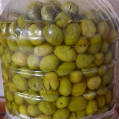 Halhalı Zeytin beşlik bidon