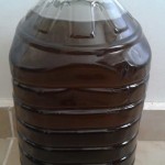 HATAY VEYA AYDİN ZEYTİNYAGİ  5 LITRE