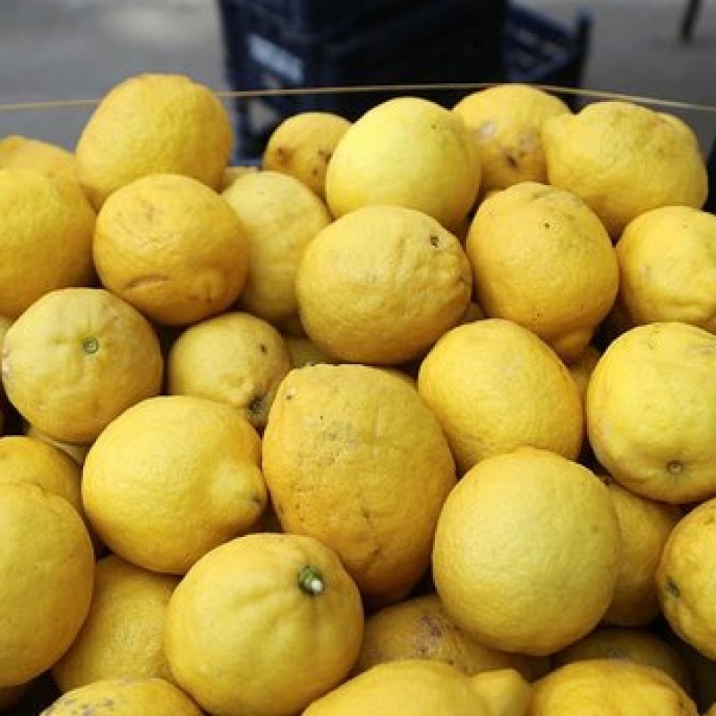 Limon