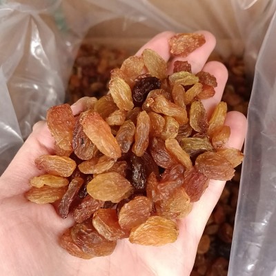 SULTANİ ÜZÜM 5 KG