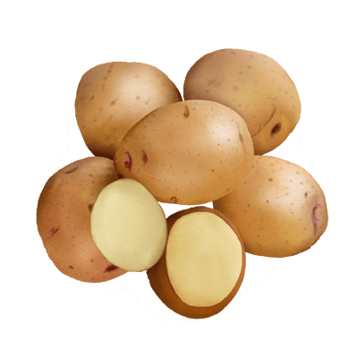 Patates